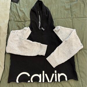 Calvin Klein Crop Hoodie